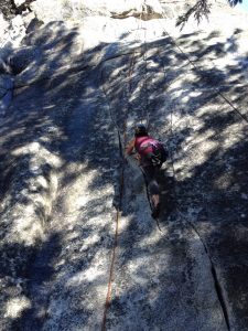 11165131_10152933857908871_5895573072597191844_n